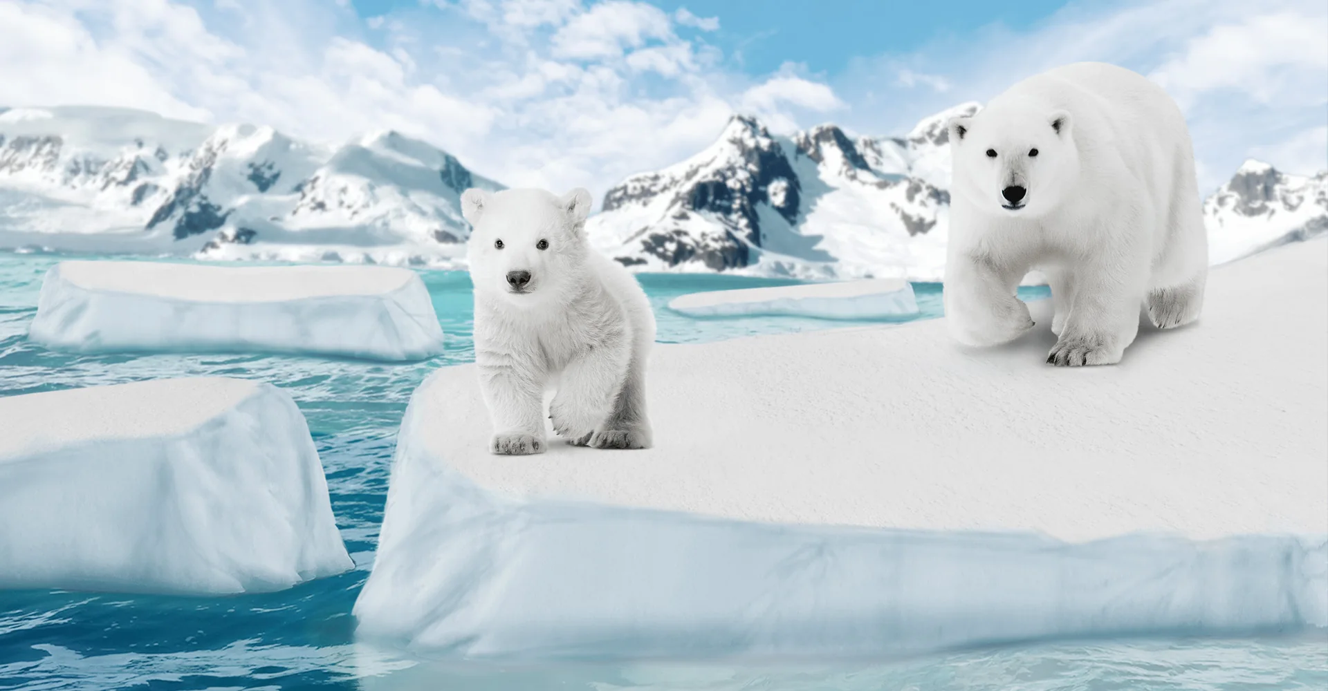 Ein junger Eisbär steht auf einer Eisscholle, dahinter seine Mutter und verschneite Berge